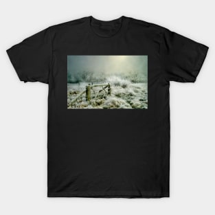 Heavy Frost T-Shirt